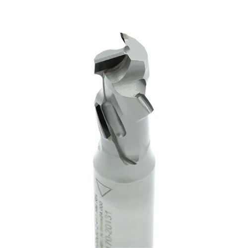 IGM Diamantová fréza Ekonomik Z1+1 - D20x35 L95 S=20x50 (4DP)